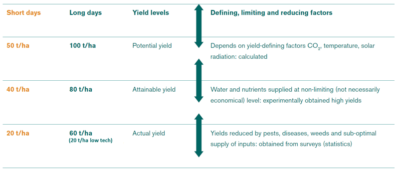 Yield Levels Of Potato Crops